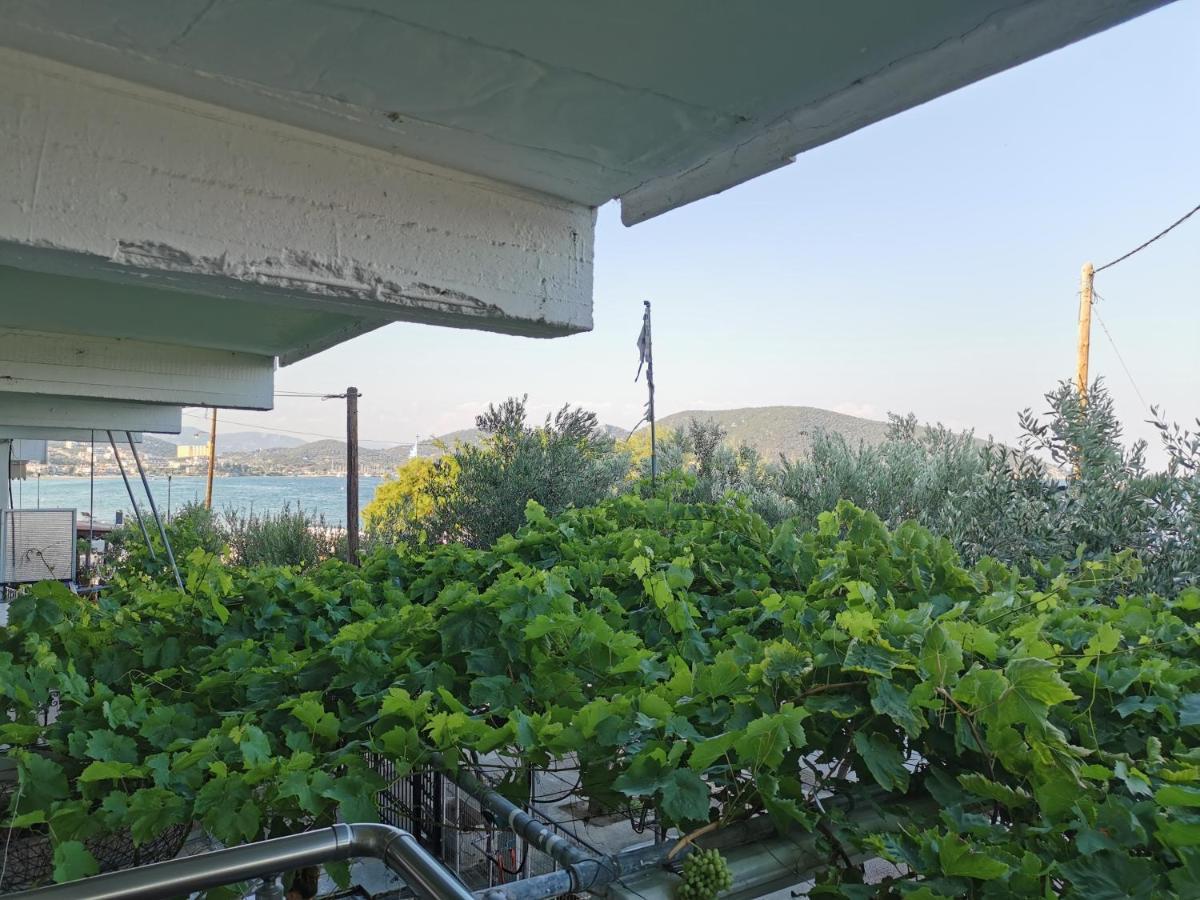 Néa Péramos Villa Tasos المظهر الخارجي الصورة